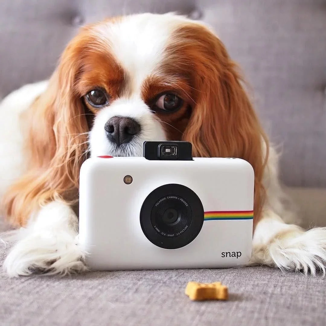 Polaroid Snap Instant Digital Camera with Zink Zero Ink Printing, White