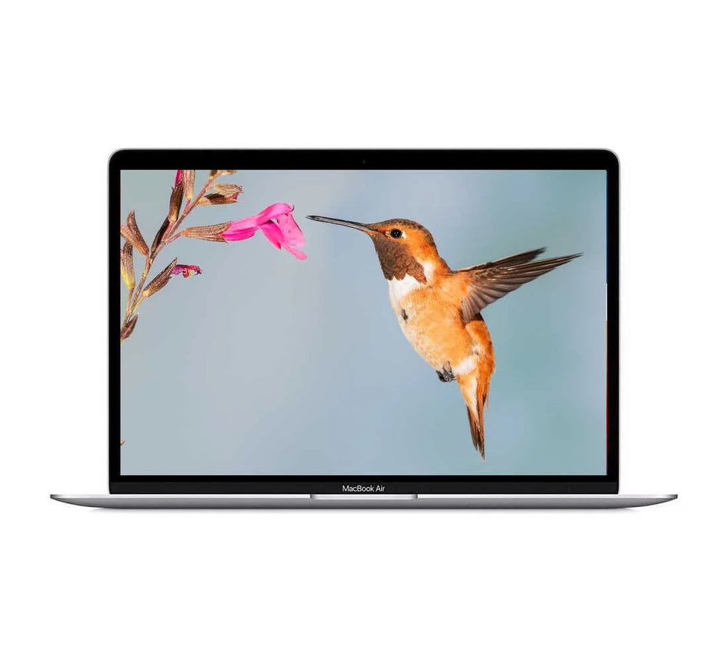 Apple Macbook Air 13.3-inch (Retina, Silver) 1.2GHZ Quad Core i7 (2020) Laptop 256GB HD & 8GB RAM-Mac OS (Refurbished)