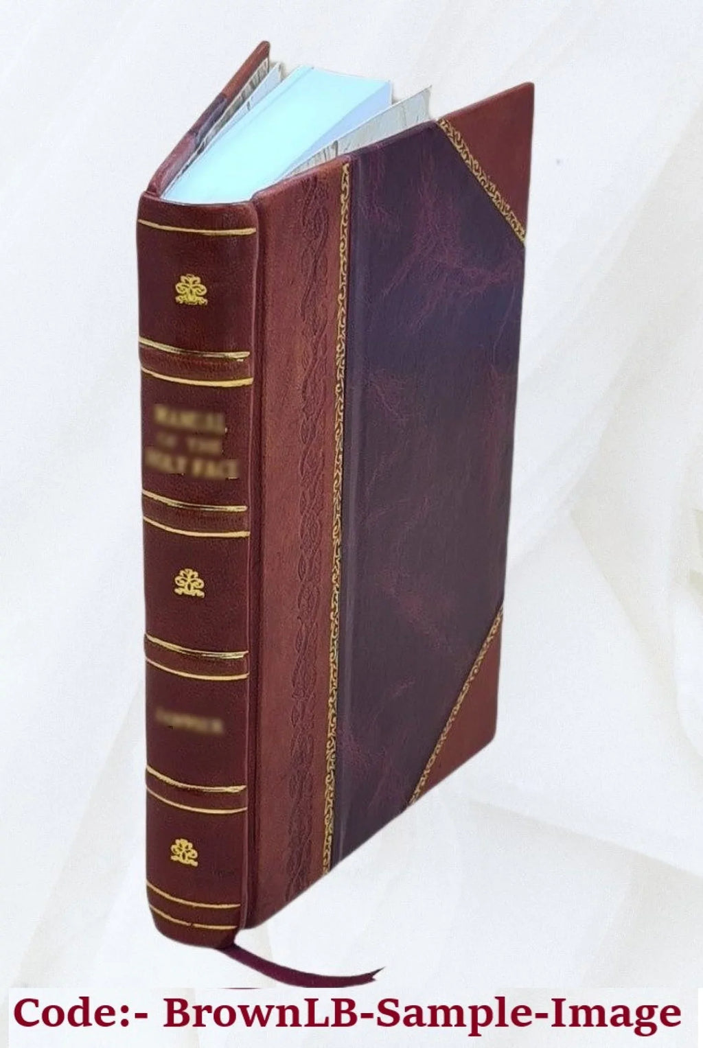 Souvenirs ([Reproduction en fac-similé]) / J.-B. Nompère de Champagny 1846 [Leather Bound]