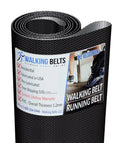 GGTL036074 Golds Gym 450 Treadmill Walking Belt