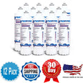 AFC Brand , Water Filters , Model # AFC-EPH-104-9000S , Compatible with Pentair® EV9252-66 - 12 Filters - Made in U.S.A.