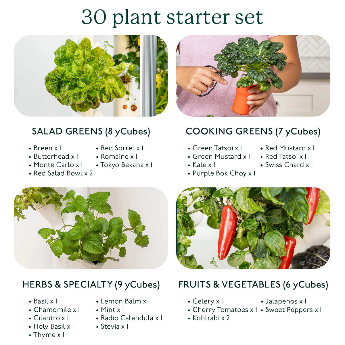 Gardyn 3.0 Hydroponics Growing System & Vertical Garden Planter | Indoor Smart Garden| Includes 30 Non-GMO Indoor Plants, Herbs & Vegetables & LED Grow Lights for Your Home Indoor Gardening System