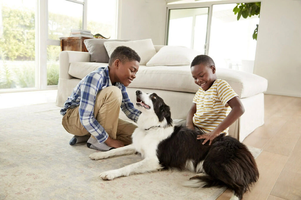 Filtrete by 3M, Smart 16x20x1, MERV 12, Allergen, Bacteria & Virus HVAC Air and Furnace Filter, Captures Allergens, Bacteria, Viruses, 1500 MPR, 4 Filters