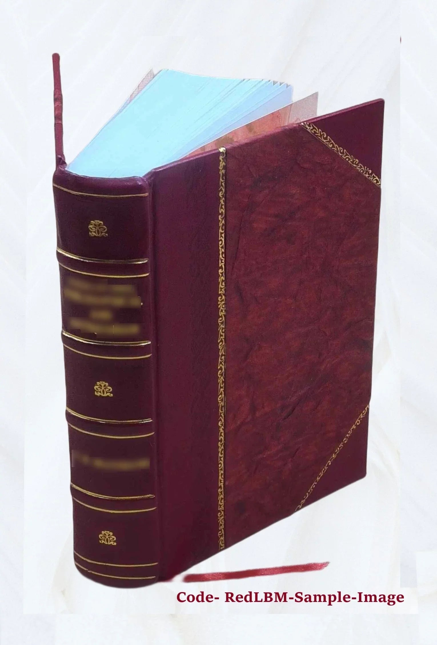 Reports from the Lords Committees Touching the Dignity of a Peer of the Realm, &c. &c. With appendixes. Vol. I-[V]. Volume v.4 appx.1 pt.2 1829 [Leather Bound]
