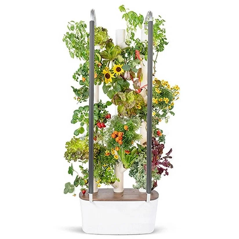 Gardyn 3.0 Hydroponics Growing System & Vertical Garden Planter | Indoor Smart Garden| Includes 30 Non-GMO Indoor Plants, Herbs & Vegetables & LED Grow Lights for Your Home Indoor Gardening System