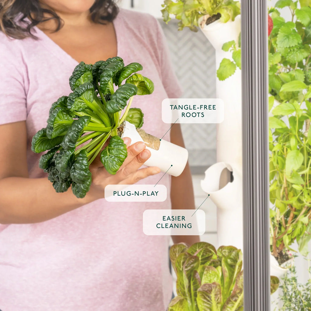Gardyn 3.0 Hydroponics Growing System & Vertical Garden Planter | Indoor Smart Garden| Includes 30 Non-GMO Indoor Plants, Herbs & Vegetables & LED Grow Lights for Your Home Indoor Gardening System