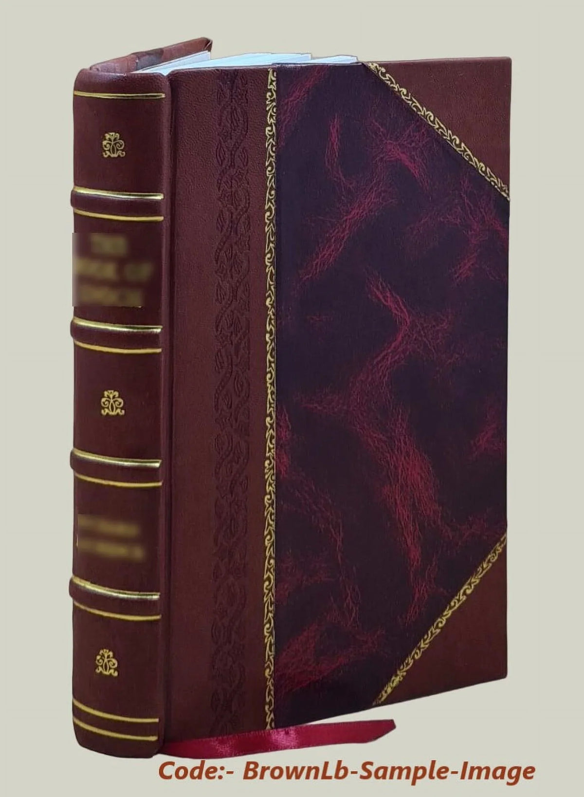 Indian birds : being a key to the common birds of the plains of India / by Douglas Dewar. 1910 [Leather Bound]