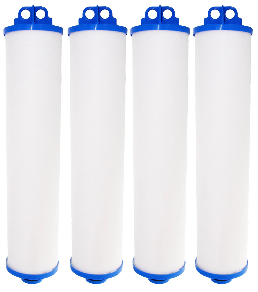 Neo-Pure BB150-PH50 Big Bubba 50 Micron Pleated Filter Cartridge Compatible with Watts BBC-150-P50 Big Bubba BBH-150 housing (4 Pack)